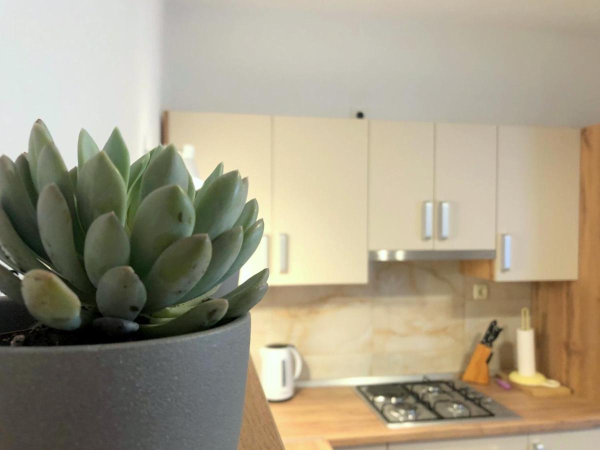 Zoro Apartments Palit 外观 照片